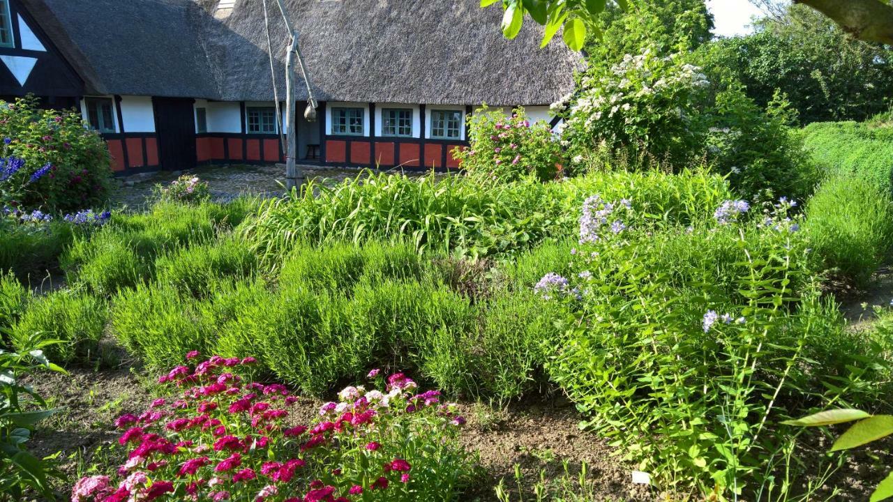 Thurup Hus Assens Eksteriør billede